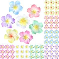Chicer デコパーツ プルメリア 花 70個セット 7色 アソート 軽量 樹脂 トロピカル DIY デコ素材(ナチュラル)