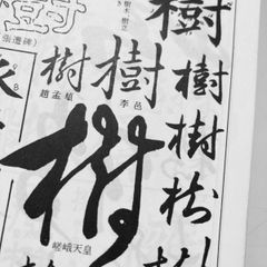 なうしか 香川 宮武喜吉商店 獅子頭 なうしか様専用 香川 宮武喜吉商店 獅子頭 - メルカリ