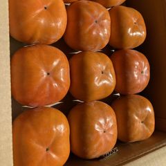 豊橋石巻産　贈答用　次郎柿　約3ｋｇ
