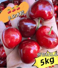 梱包材込み5kg‼️9.5row超大粒‼️常温便　アメリカンチェリー 　　母の日　父の日　家庭用　果物空輸直送　ジューシーな果肉｜American Premium Cherries 車厘子 美國櫻桃 さくらんぼ　国内検品発送　北海道沖縄の方は追加料金が必要