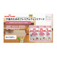 ロイヤルカナン 猫 子猫 キトン  ウェット パウチ キャットフード