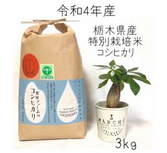 栃木県産コシヒカリ【特別栽培米】 白米3kg