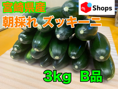 宮崎県産 ハウス栽培 朝採れ ズッキーニ 3キロ B品 美肌効果 免疫力アップ 便秘解消 血圧対策 ダイエット