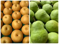 2024年最新】プレコース 果物の人気アイテム - メルカリ 