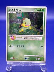 001/PPP ナエトル LV.9 プレイヤーズ PLAYERS プロモ ホロ キラ
