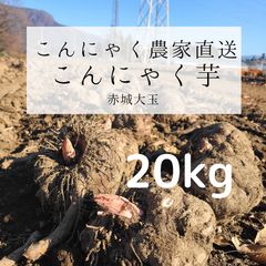 群馬県産こんにゃく芋 (赤城大玉20kg) - Okawa farm market - メルカリ