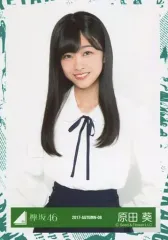 【中古】生写真(乃木坂46) 原田葵/上半身/2017-AUTUMN-08/欅坂46ランダム生写真【エキセントリックMV衣装】