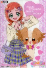 【中古】食玩 トレーディングカード 犬飼こむぎ＆犬飼いろは 「わんだふるぷりきゅあ! キラキラクリアカードガム」