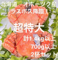 ラスト！！！超特大　⭐︎北海道オホーツク海産⭐︎ 冷凍毛蟹700g×2杯セット