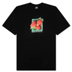 STUSSY(ステューシー) イチゴ 半袖Tシャツ 黒 M L 新品