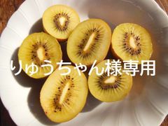 りゅうちゃん様専用　キウイフルーツ　3品種お任せミックス5㎏＋α
