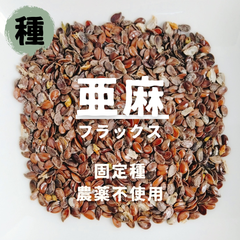 【種】亜麻（あま）　フラックス　農薬不使用　50粒