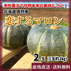 北海道産　かぼちゃ「恋するマロン」 2玉（1玉約2kg） 北海道 真狩産