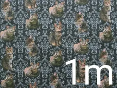 【ゆきちゃん限定】X123　キジトラ×ダマスク柄　猫　リアル　布　1mのサムネイル