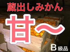 和歌山産　蔵出しみかん B級品　2kg