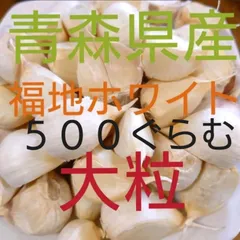 予約商品　７月下旬ころからの順次発送予定　メルカリ便 　産地直送　大粒　５００ぐらむ　青森県産にんにく　福地ホワイト　ばら　青森にんにく直売所のサムネイル