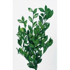 Item thumbnail for item 89014bdf-7d6c-4a2b-9e12-d9e6b3f2b8fe