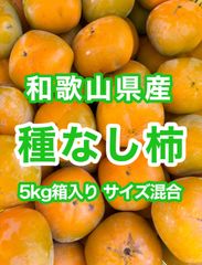 【農家直送！】和歌山県産　たねなし柿(刀根早生柿) 5kg箱入り　サイズ混合　訳アリ　家庭用　送料無料　57