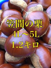 笠間の栗 4L-5L 1.2kg⭐︎筑波⭐︎新品 - メルカリ