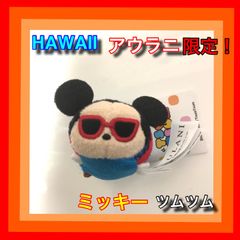 レアもの！ 匿名配送 アウラニ限定 オルくん＋オマケ - メルカリ