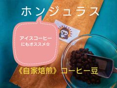 《自家焙煎コーヒー豆》ホンジュラス🇭🇳　セレクトマウンテン