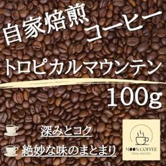 【焙煎珈琲豆】トロピカルマウンテン 100g【深みとコク / 味のまとまり】