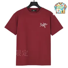 【今日特価】ARCTERYX 2025SS バックビッグバードプリント T シャツ -1