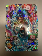 UM12-SEC⭐️ゴジータUM