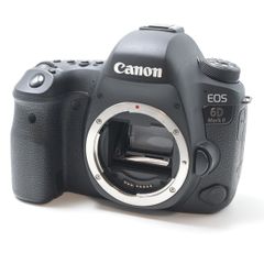 【新品級】 キヤノン Canon EOS 6D Mark II ボディ