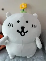 2025年最新】自分ツッコミくま 韓国の人気アイテム - メルカリ