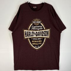 90's◇ハーレーダビッドソン【L】イーグル×ファイヤーパターン Tシャツ