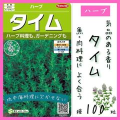 【ハーブの種】気品のある香り「タイム」の種１００粒～お料理・ガーデニングに～