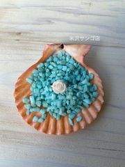 米沢サンゴ店 - メルカリShops