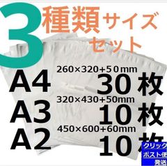 LDPE宅配袋 宅配ビニール袋 A4 30/A3 10/A2 10テープ付き 透けない 梱包 資材 3種類セット