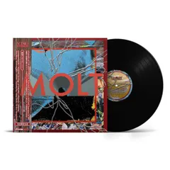 2025年最新】yo-sea レコードの人気アイテム - メルカリ
