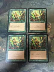 帰化 Naturalize 3枚セット 日本語版・英語版 【公式通販】