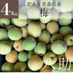 【北海道～中国四国エリア限定】　訳あり　青森県産　無選別八助梅（あんず）　4Kg　※クール便