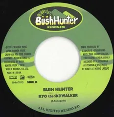 2025年最新】ブッシュハンターミュージックの人気アイテム