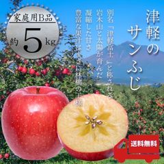 青森県産 ＂ サンふじ ＂ りんご【ご家庭用B品5kg】【送料無料】【産地直送】リンゴ 林檎