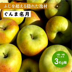 11月中旬発送予定 りんご選びで失敗したくない方におすすめ！「ぐんま名月3キロ箱A品B品」農林水産大臣賞  長野県産 安曇野 信州産 産地直送