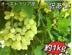 数量限定‼️常温便‼️訳ありぶどう約1kg‼️葡萄　ブドウ　家庭用 オーストラリア産　北海道、沖縄の方は450円の追加料金が必要です‼️