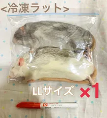 2025年最新】冷凍ラットの人気アイテム - メルカリ