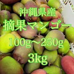 沖縄県産　摘果マンゴー　3kg