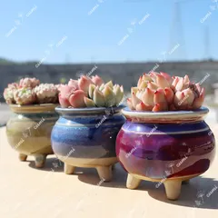 N0308 韓国  2.5号 3個セット 脚付き 植木鉢 室内 陶器鉢 多肉 植物 鉢植え 鉢カバー 激安 レア インテリア プレゼント 海外 盆栽 おすすめ プランター 人気 デザイン 観葉植物