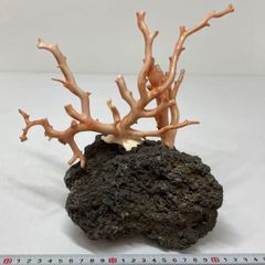 中国 玉石蝋石青田石 楼閣山水雕 床飾 置物 C 6952A - メルカリ
