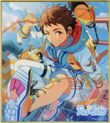 【中古】紙製品 天満光 「あんさんぶるスターズ!! オリジナル色紙 ver.2 グループB」 中国限定