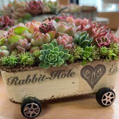 オーダーお受けします 多肉植物寄せ植え ちま寄せ花車 - メルカリ