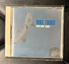 2025年最新】佐藤允彦の人気アイテム - メルカリ