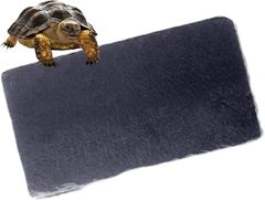 Item thumbnail for item dbe3c95c-5097-4056-8fae-28da0be102b2