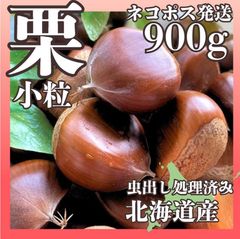 【小粒 栗900g】無農薬 生栗 北海道産！ほくほくの秋の美味しい味覚、採れました！冷蔵庫で熟成して甘みを引き出せばなお美味しい☆彡コンフォートや栗ご飯などにいかがでしょうか♪